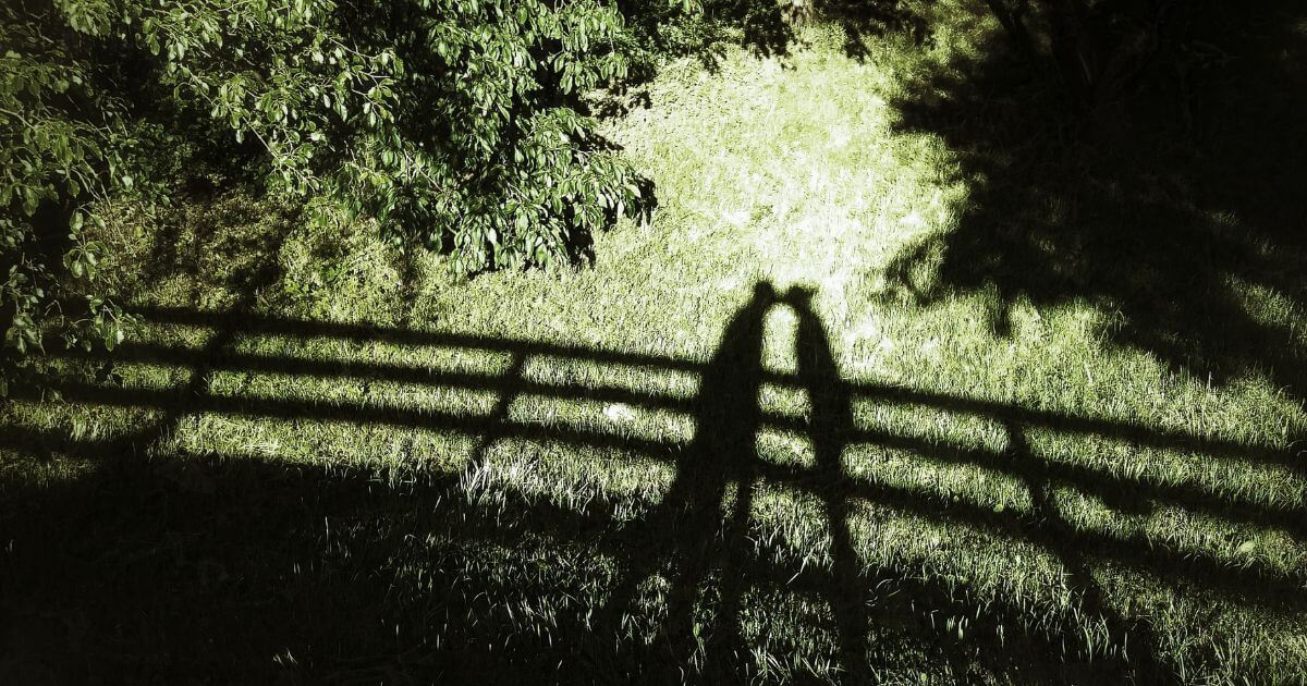 Is the Adam and Eve story true? Is it literal?