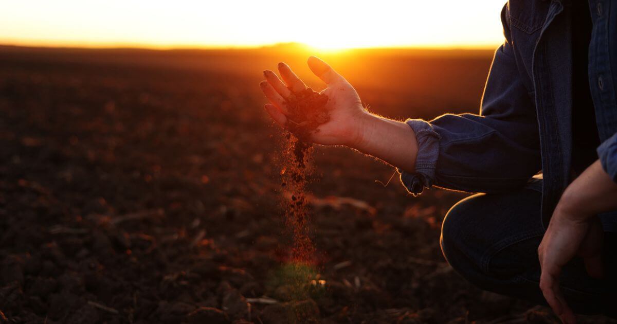 Who was Adam in the BIble?