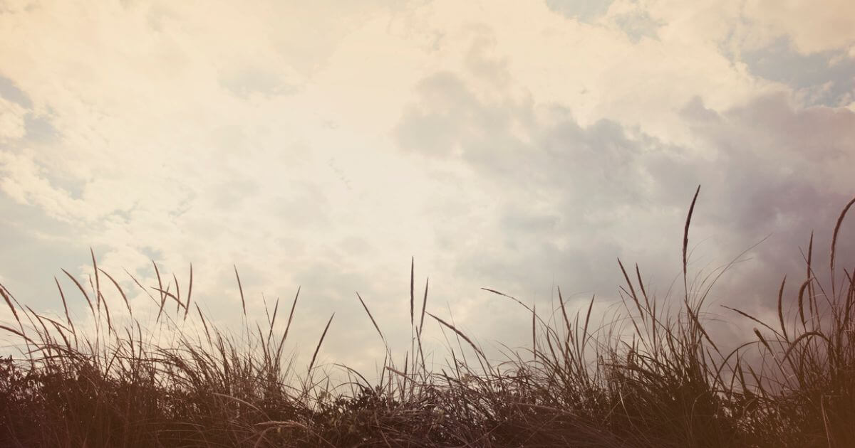 What do we know about the Anakim?