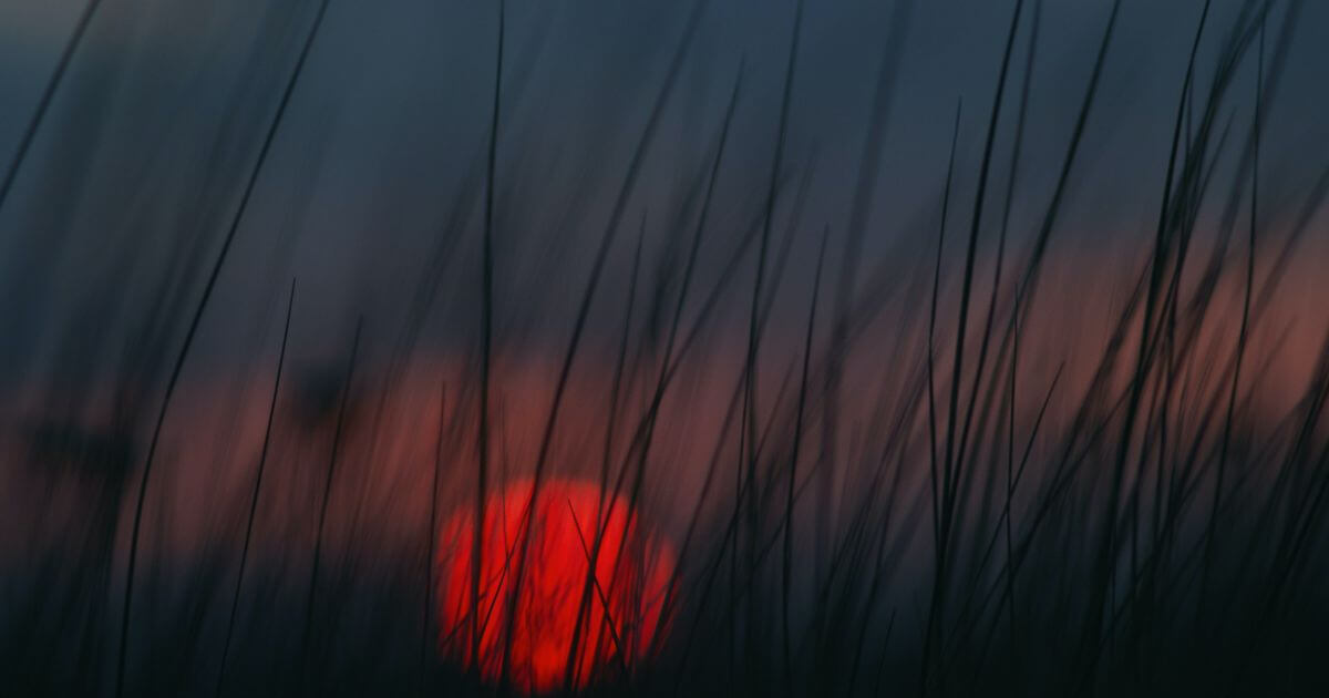 Are the Anunnaki in the Epic of Gilgamesh and the Nephilim in the Bible the same?