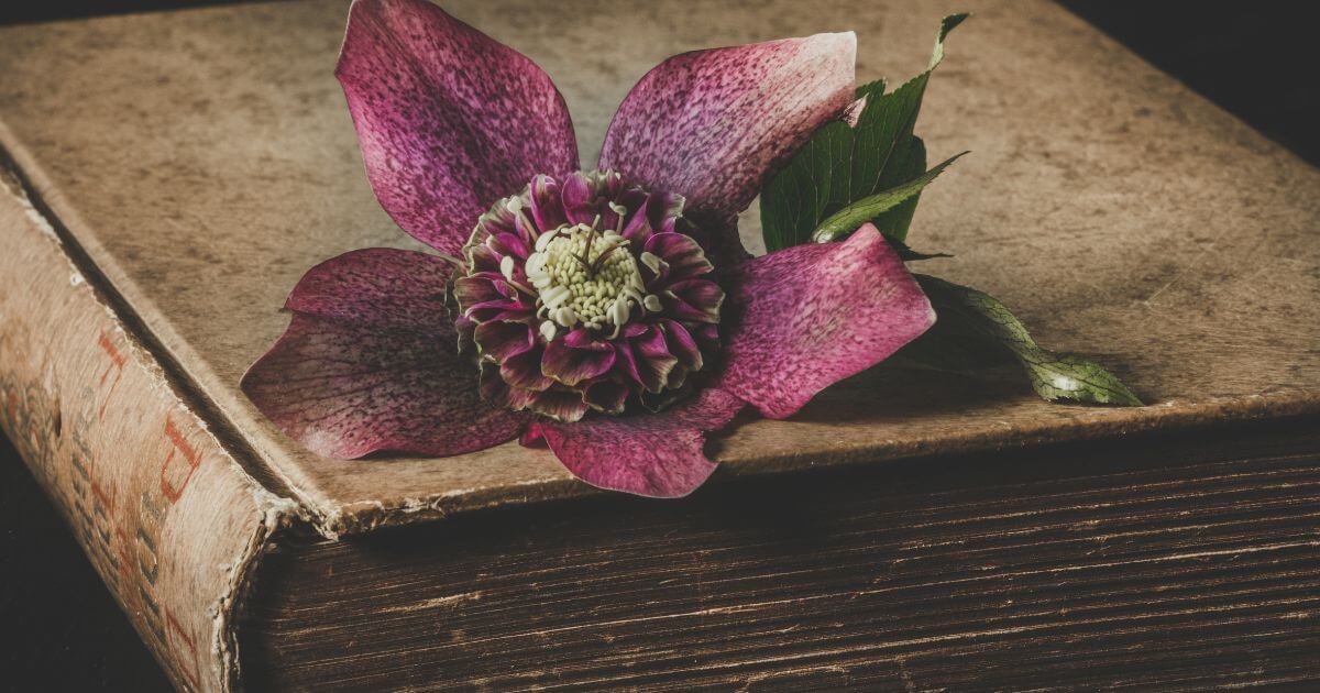 The Assumption of Moses – What is it?