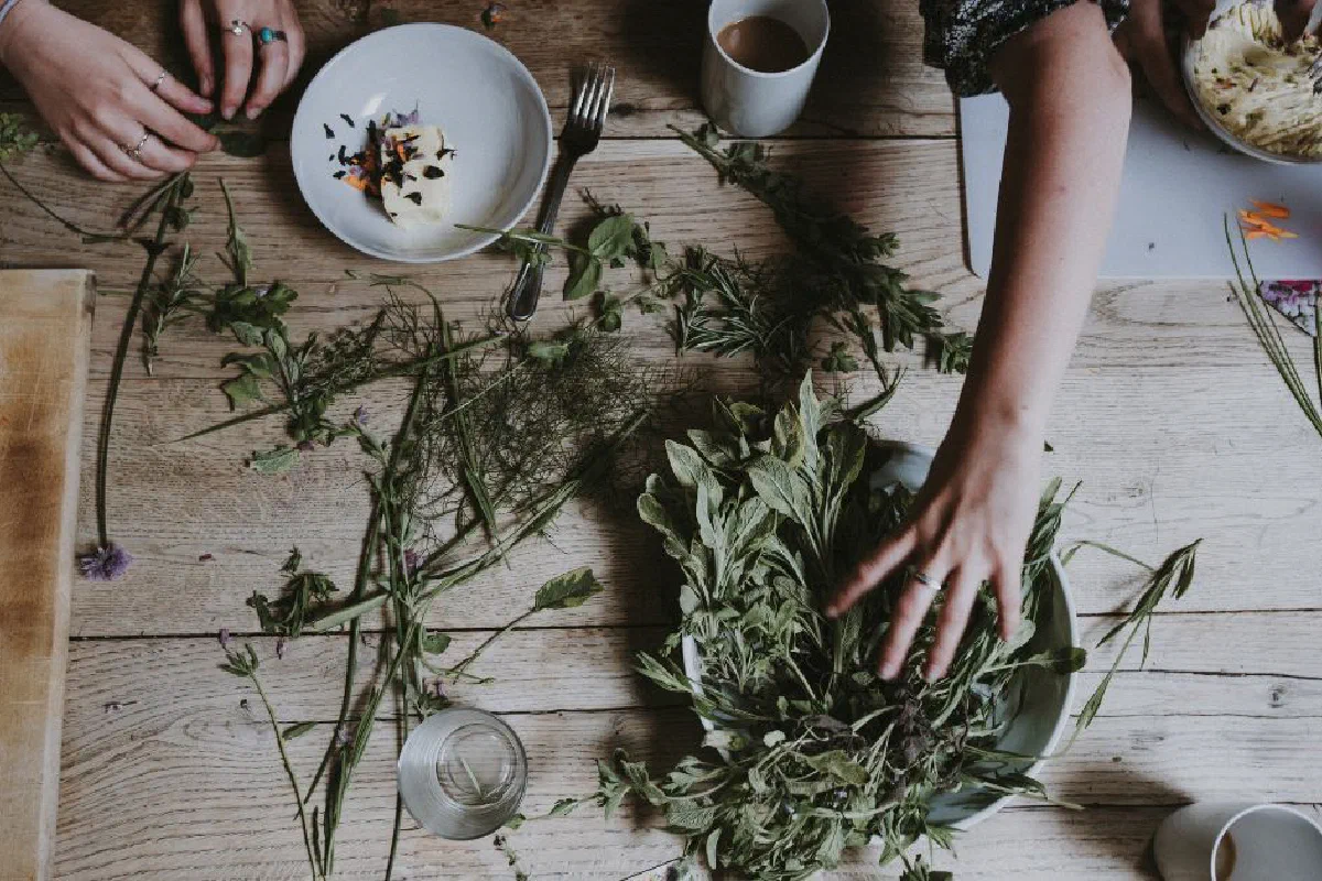 What is Ayurveda? What is Ayurvedic medicine?