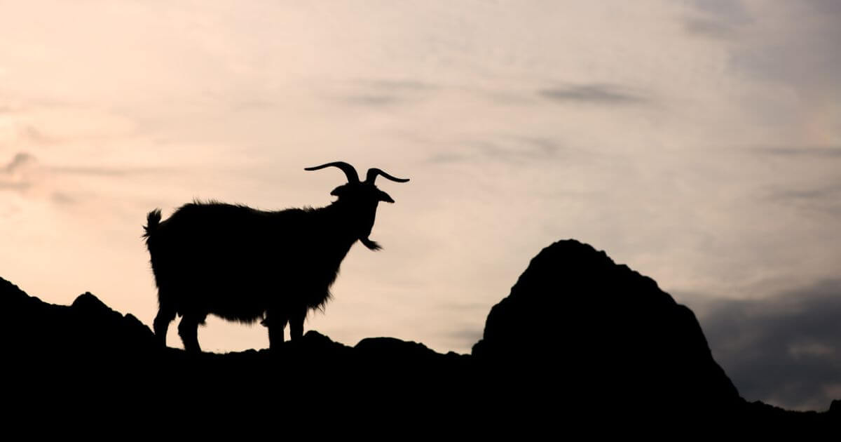 What is Azazel / the scapegoat in the Bible?