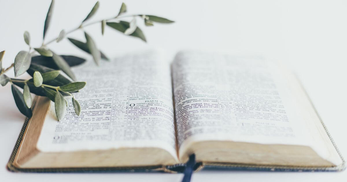 A Bible church—What is it?