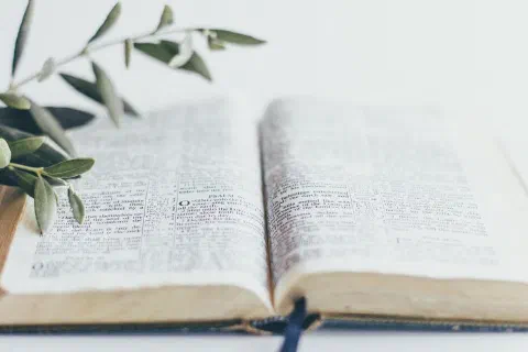 A Bible church—What is it?