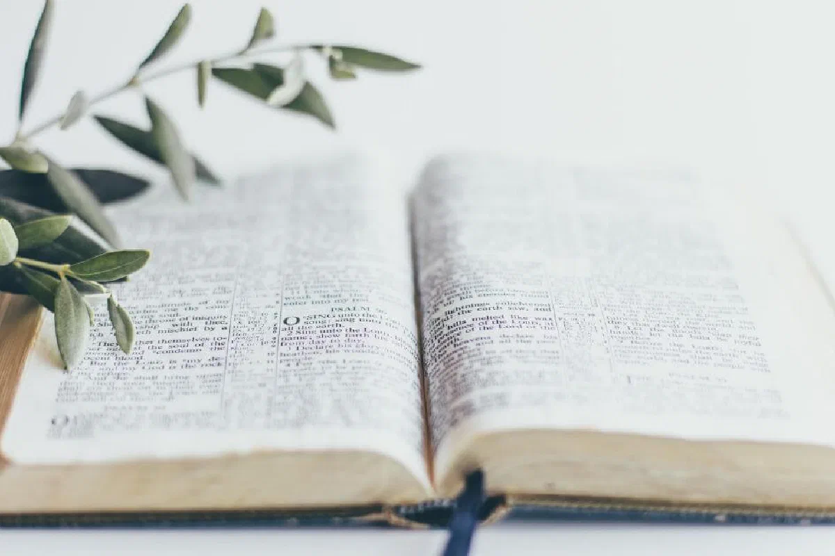 A Bible church—What is it?