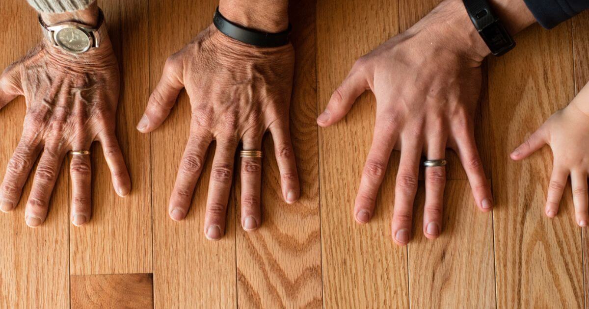 What is the importance of genealogies in the Bible?