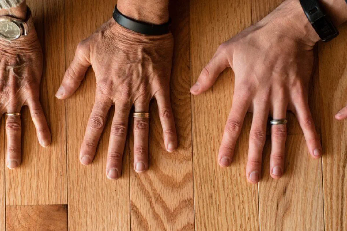 What is the importance of genealogies in the Bible?