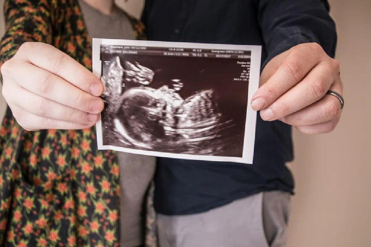 In vitro fertilization - What does the Bible say?