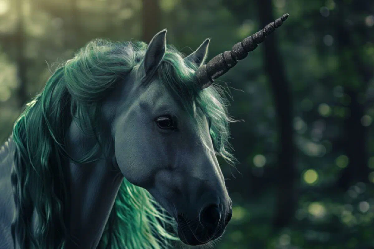 Why does the KJV Bible talk about the unicorn?