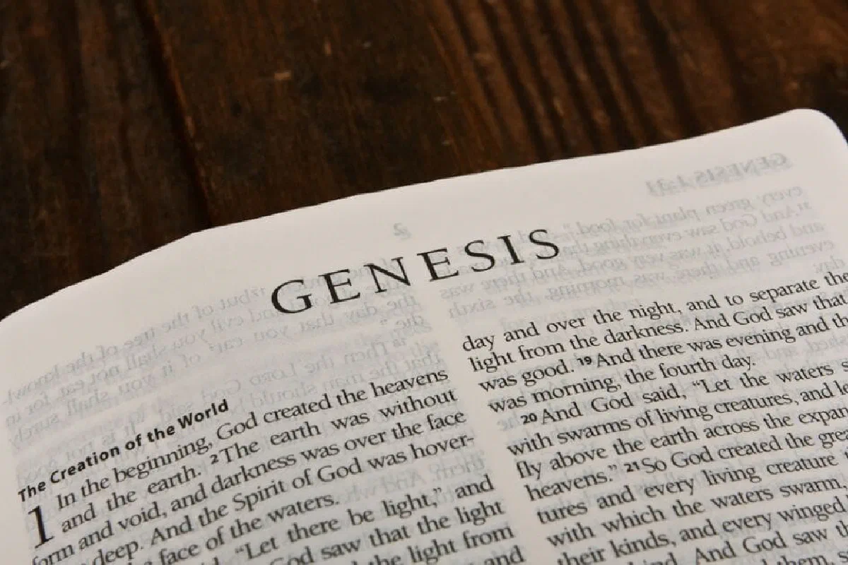 Survey of the Book of Genesis