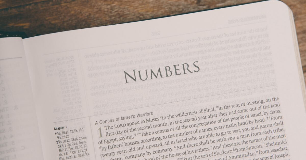 Survey of the Book of Numbers