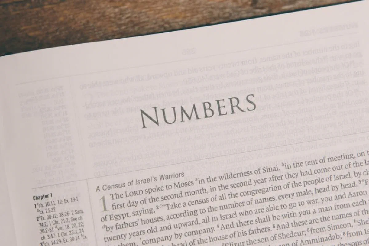 Survey of the Book of Numbers