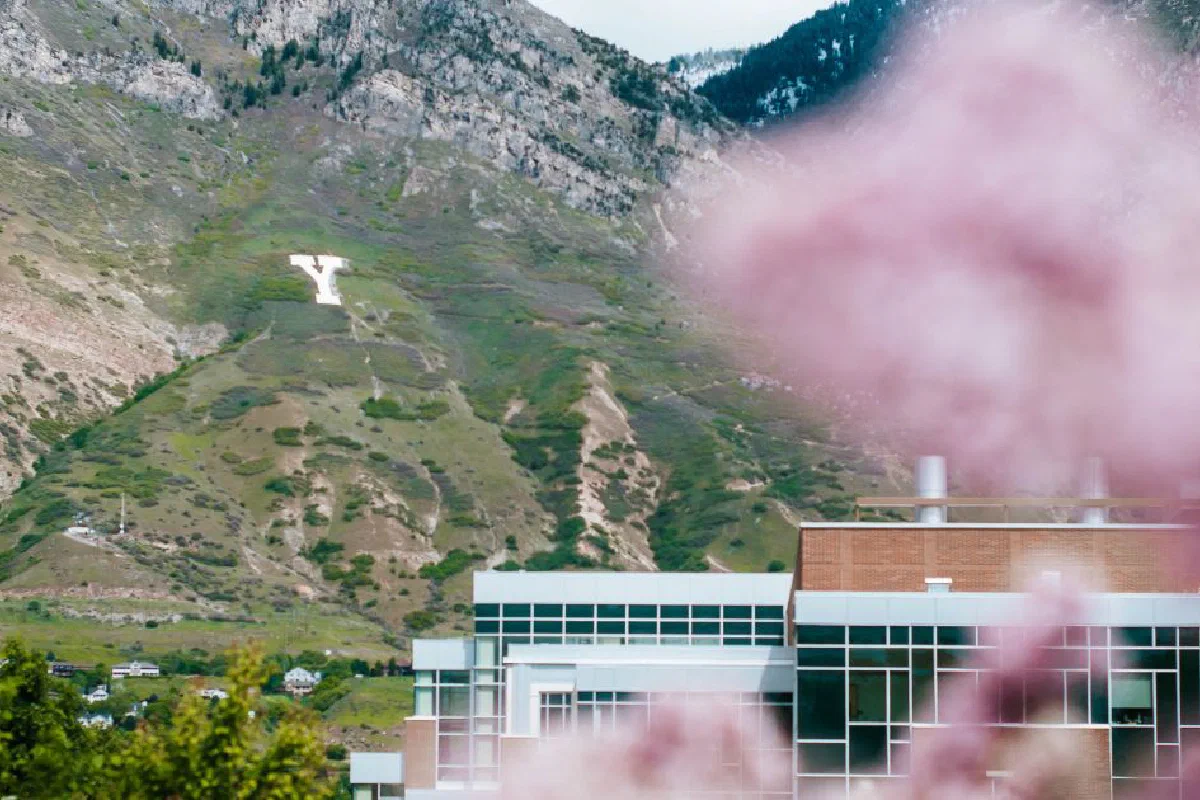 Who was Brigham Young?