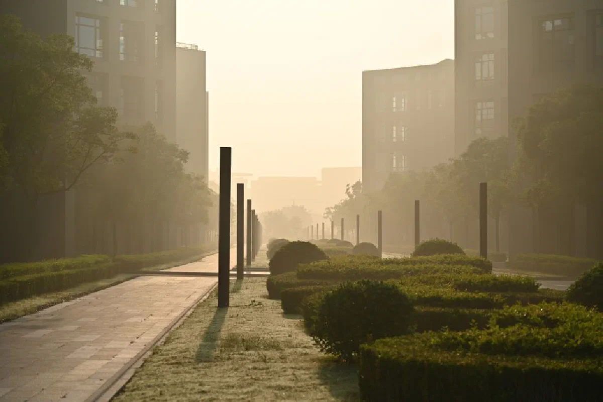 Tranquil city street at dawn, enveloped in mist with soft natural light.