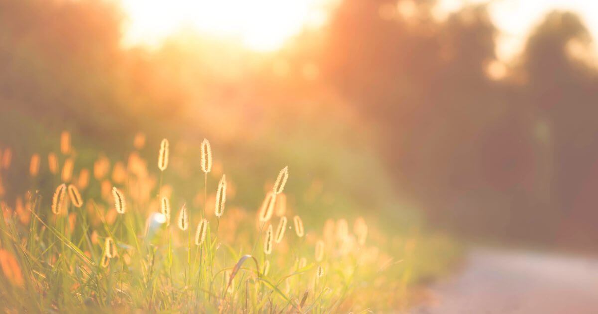 What does the Bible say about the Christian's hope?