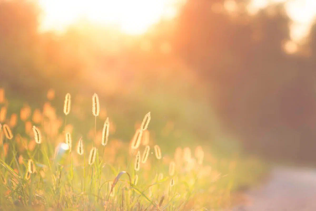 What does the Bible say about the Christian's hope?