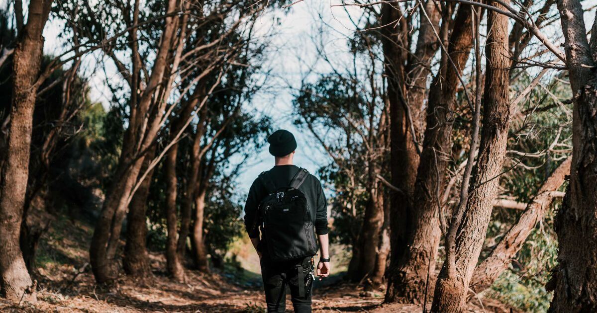 What is the Christian life?