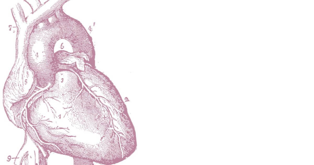 What is a Christian view of organ donation? Should a Christian be an organ donor or recipient?