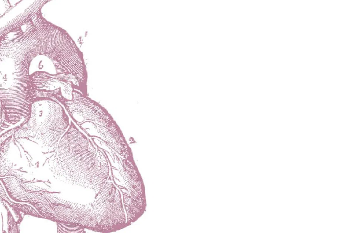 What is a Christian view of organ donation? Should a Christian be an organ donor or recipient?