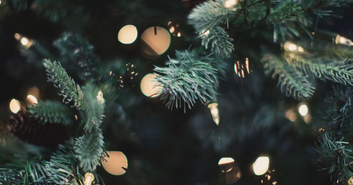 Are Christians supposed to celebrate Christmas? Is it okay for Christians to celebrate Christmas?