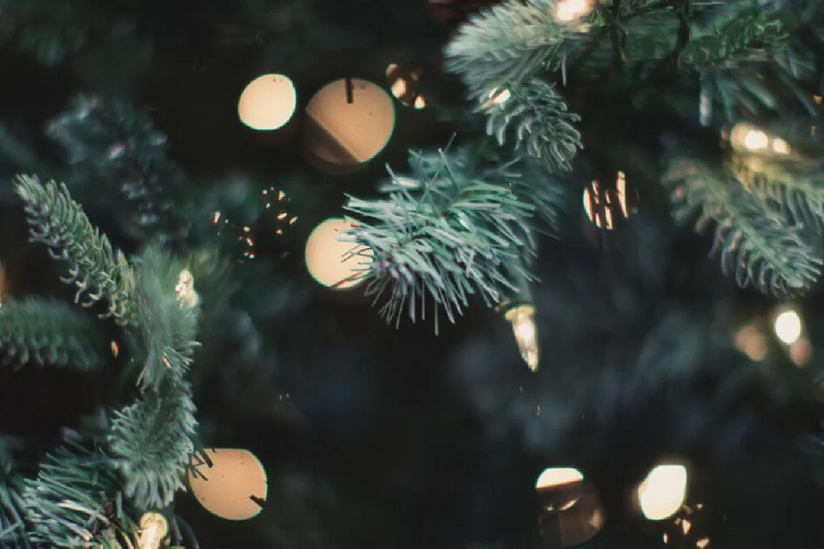 Are Christians supposed to celebrate Christmas? Is it okay for Christians to celebrate Christmas?