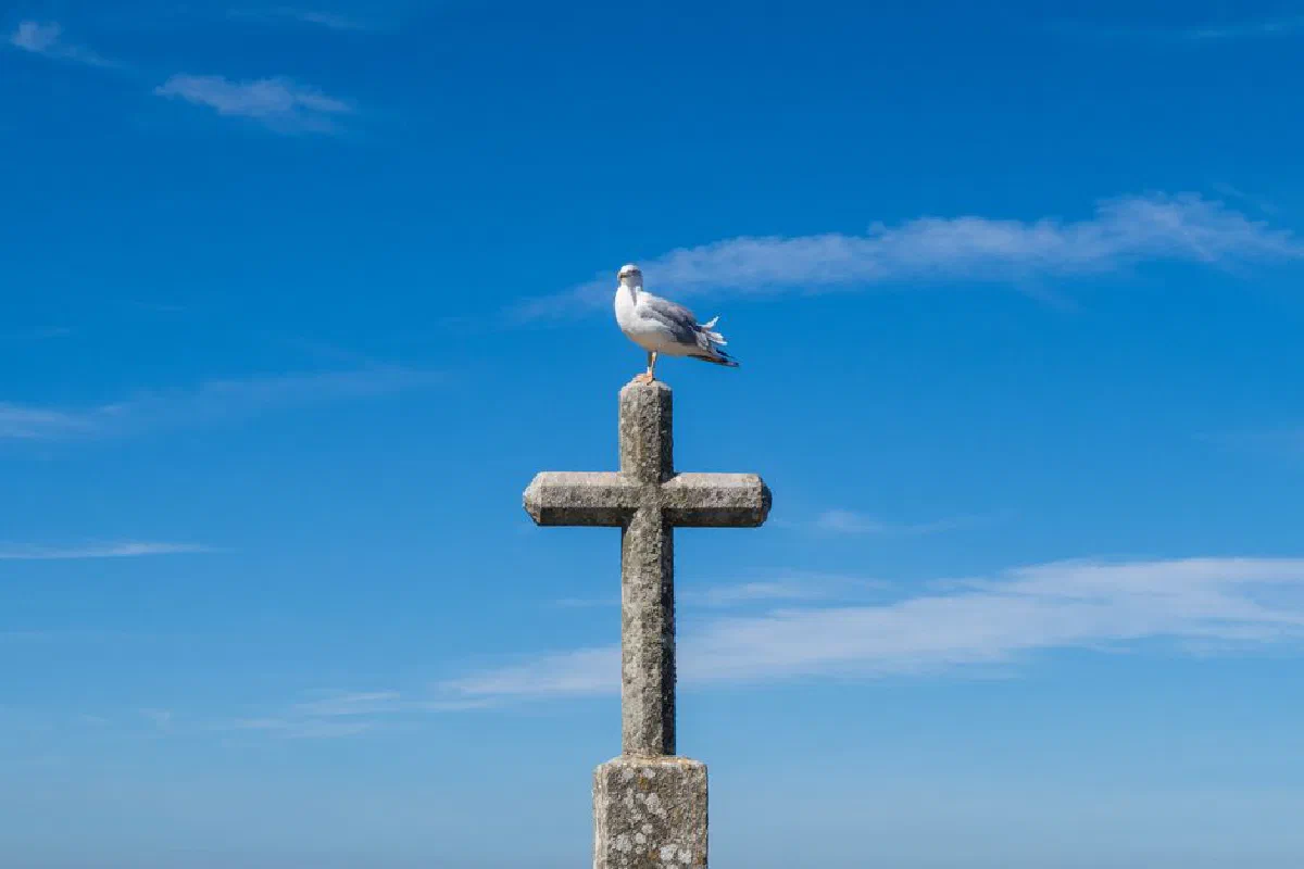 A seagull sits atop a stone cross under a bright blue sky.