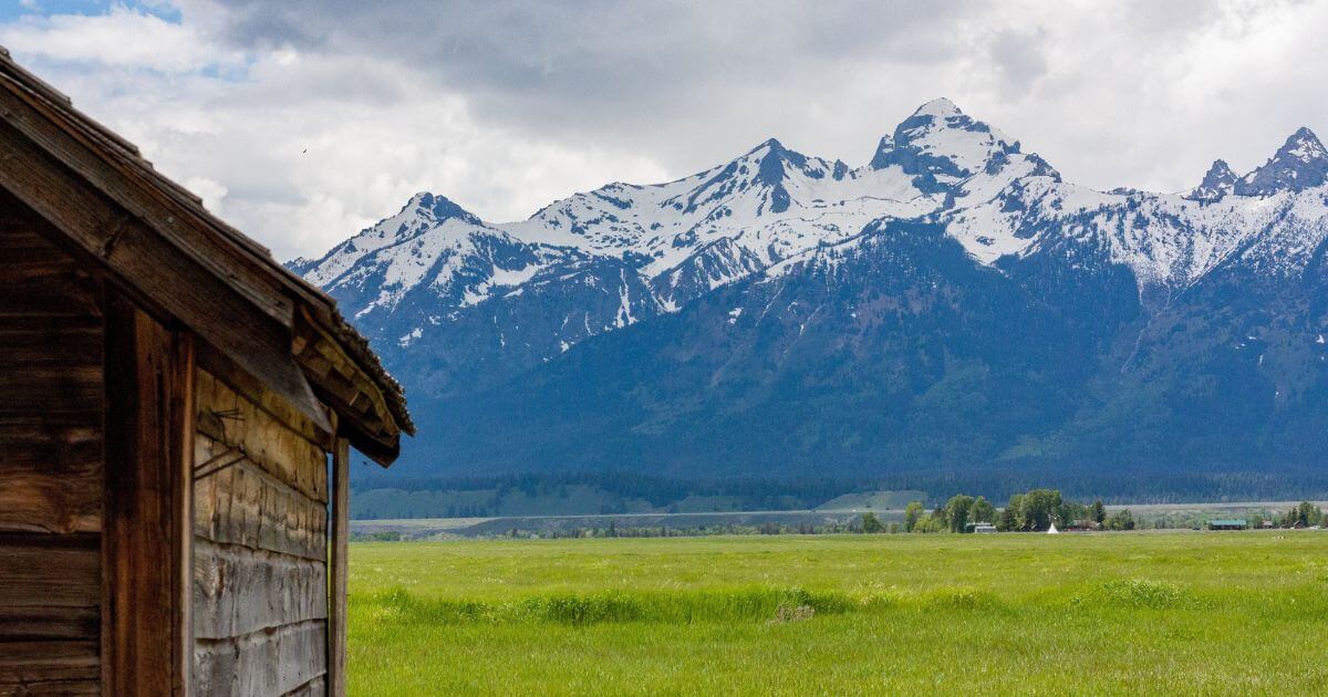 The Community of Christ (RLDS) — What is it?