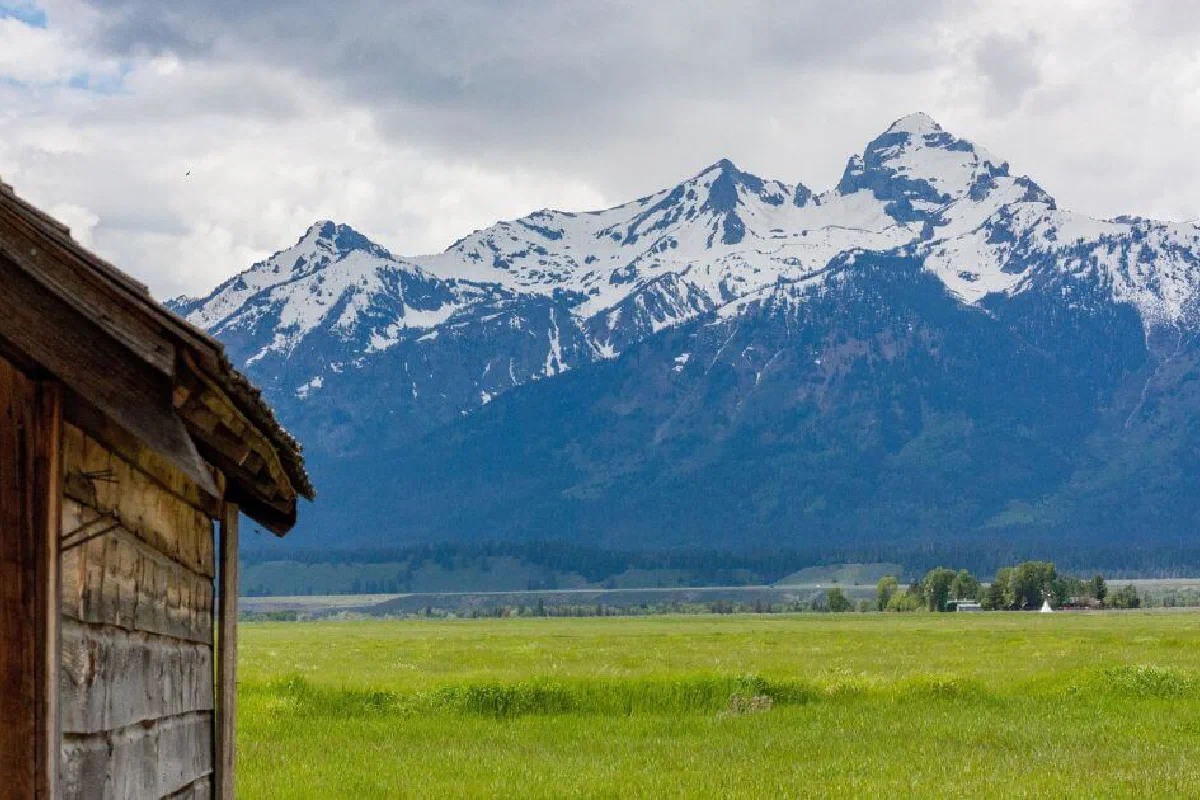 The Community of Christ (RLDS) — What is it?