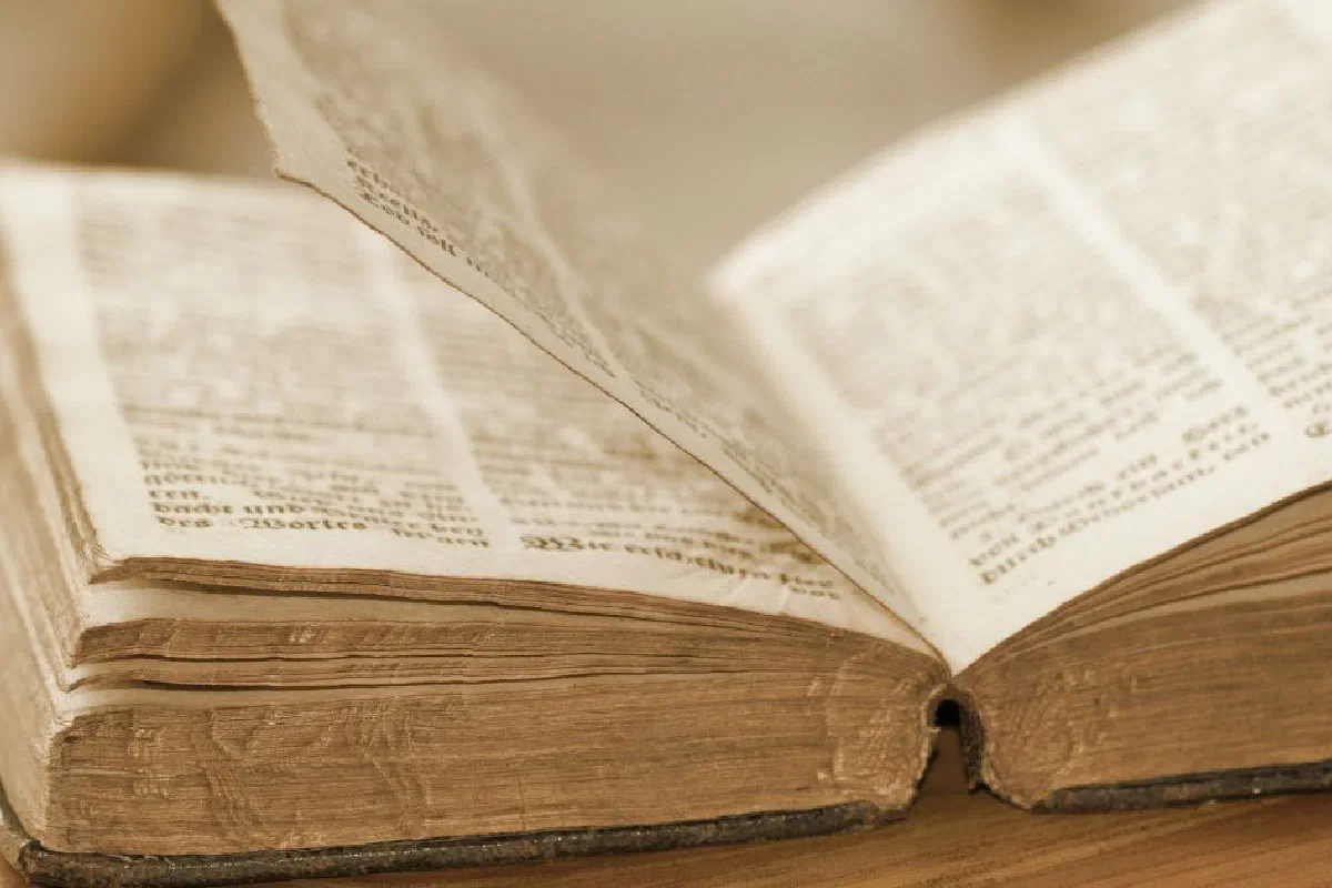 The Critical Text – What is it?