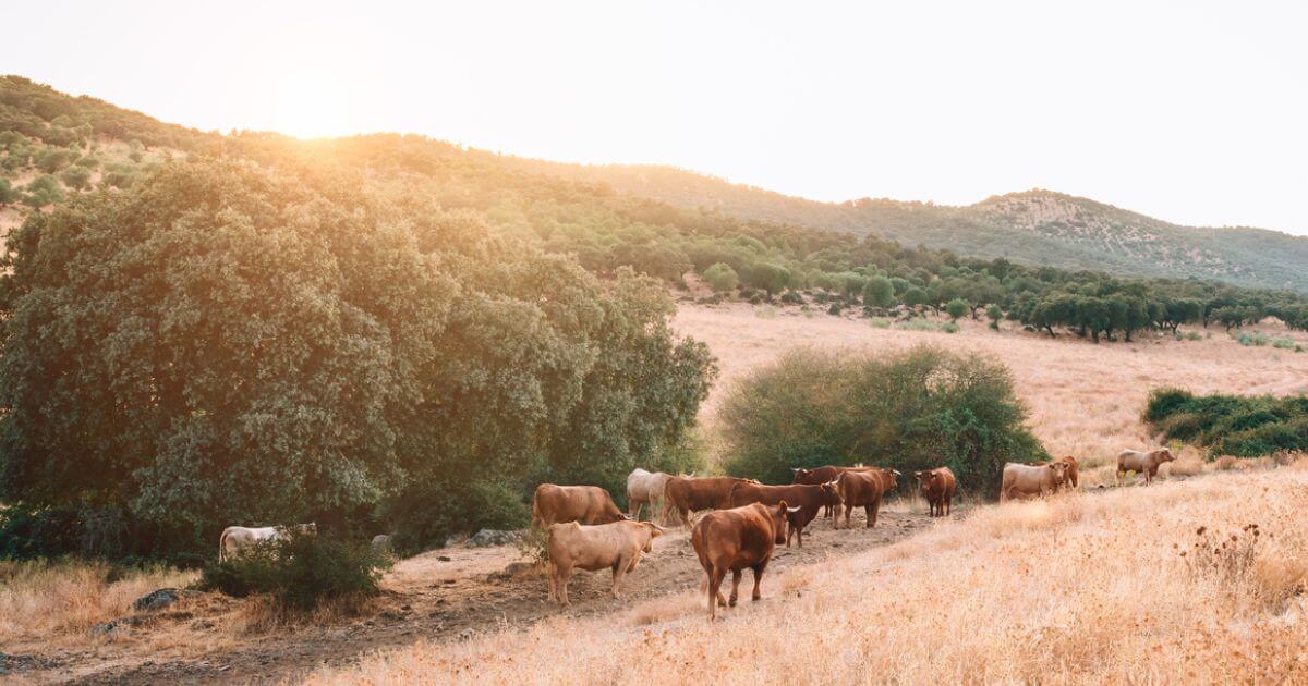 What is the significance of the Day of Atonement (Yom Kippur)?