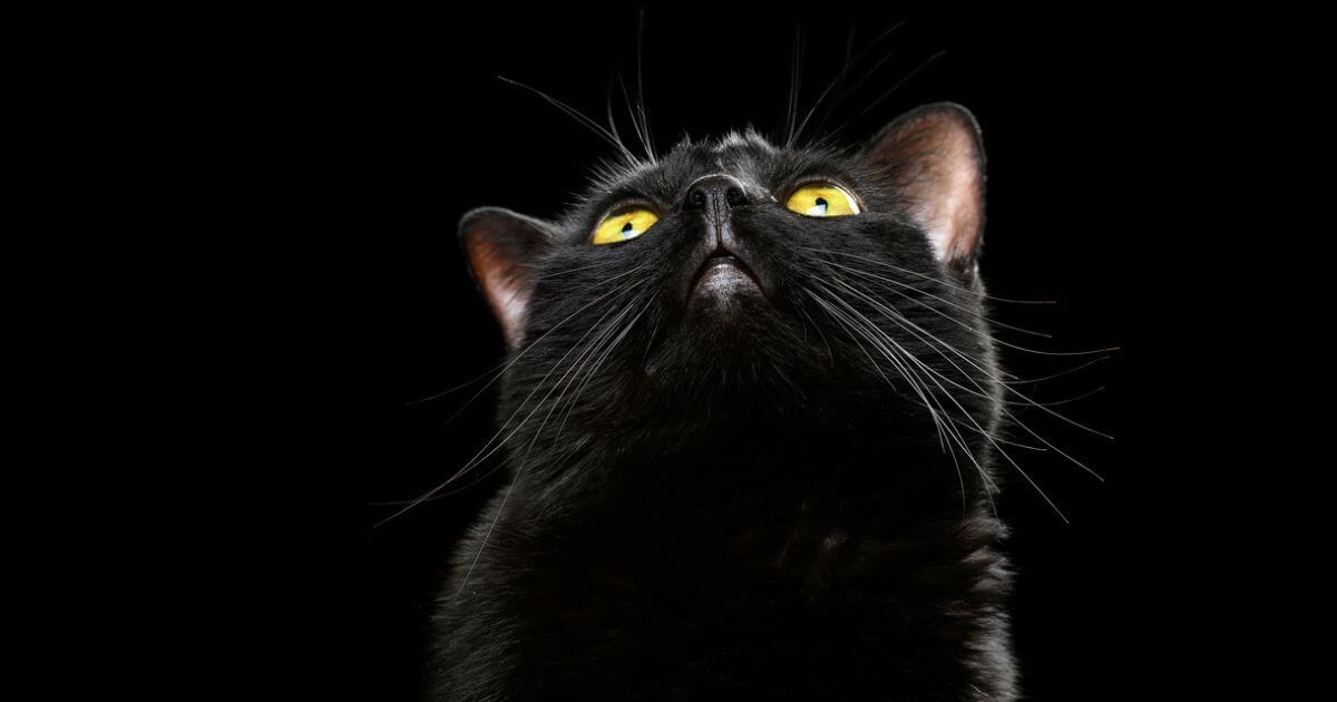 Why are people superstitious about Friday the 13th?