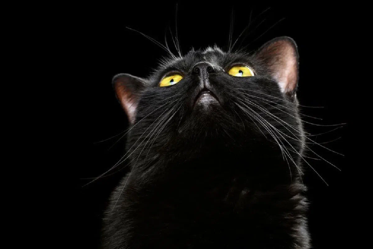 Why are people superstitious about Friday the 13th?