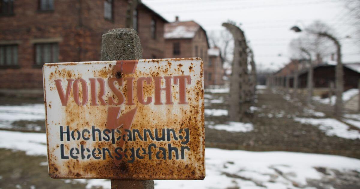 How could God allow something like the Holocaust? Why did God allow the Holocaust?