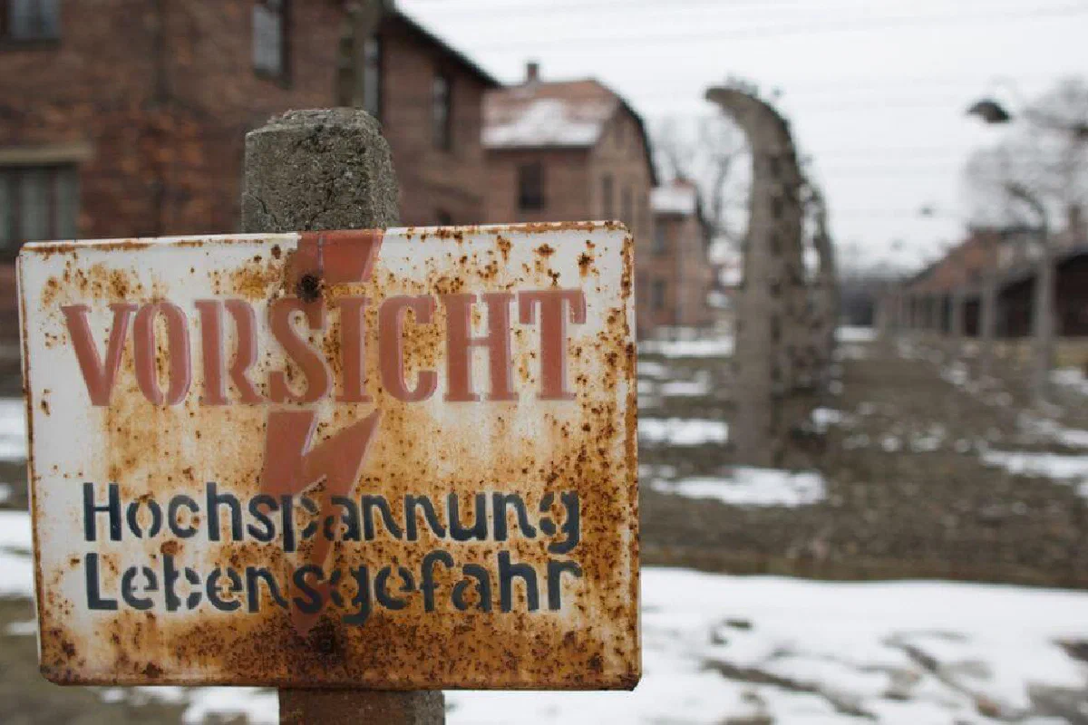 How could God allow something like the Holocaust? Why did God allow the Holocaust?