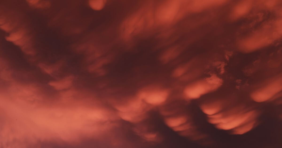 Why did God allow Satan and the demons to sin?