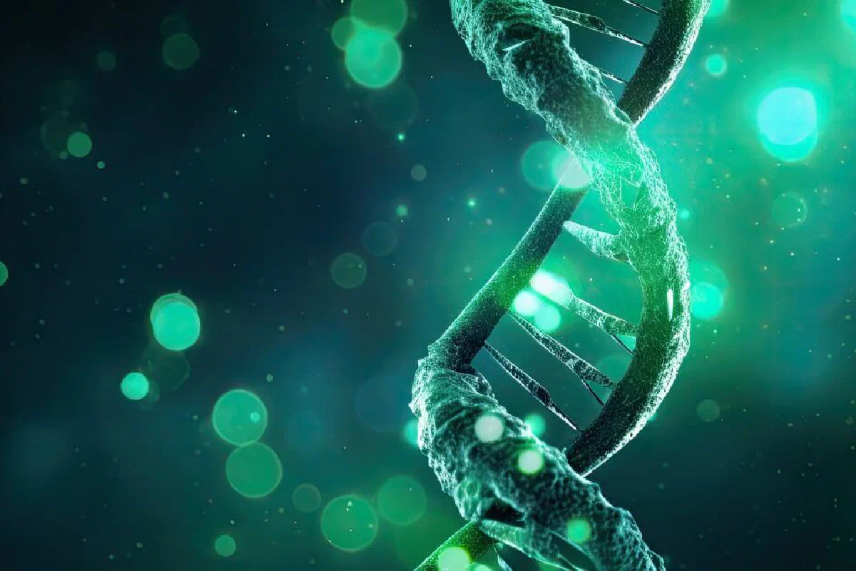 Is the ”God gene” a good argument against God? Does the ”God gene” disprove God?