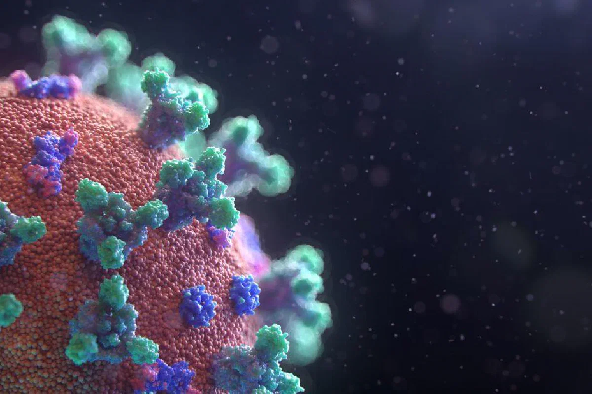 Is belief in God a virus?