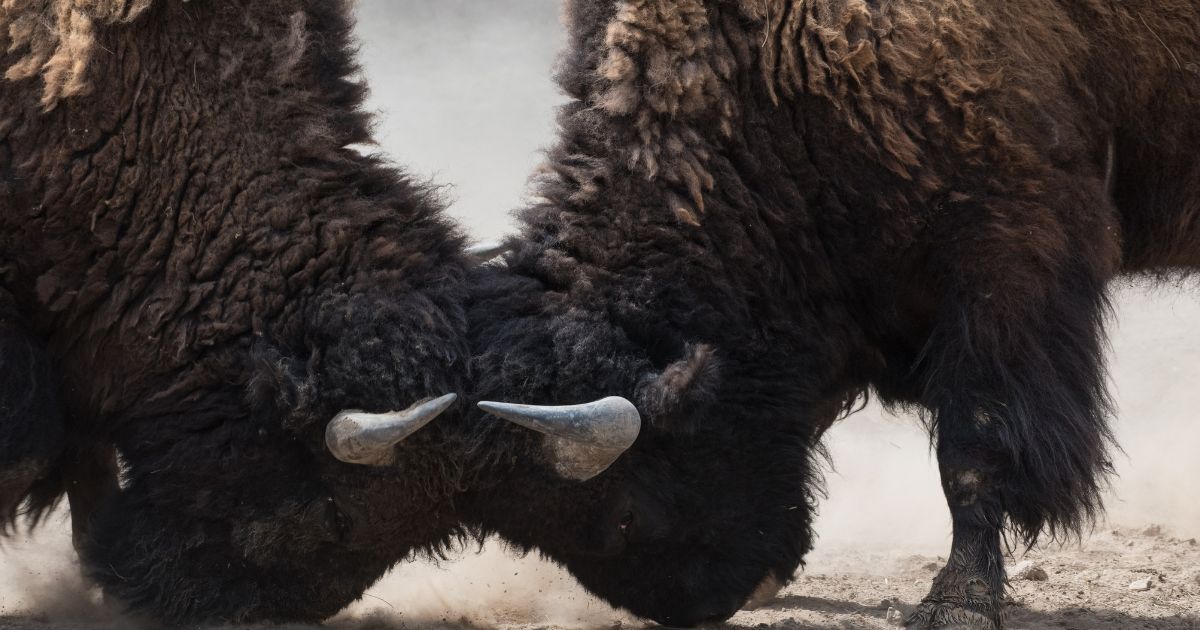 God vs. Satan? If He is really all-powerful, why doesn’t God just kill Satan?