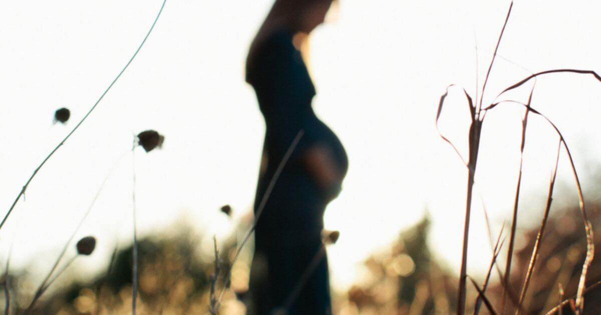 Who was Gomer in the Bible?