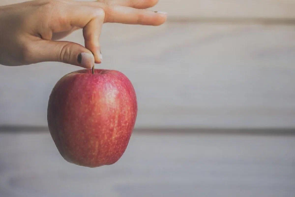 I did not eat the fruit in the garden of Eden so why do I suffer the consequences of Adam and Eve's sin?