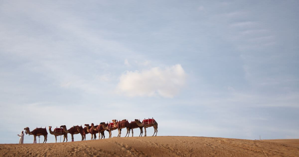 What do we know about the Ishmaelites?