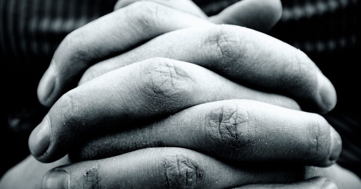 How is Jesus our High Priest?