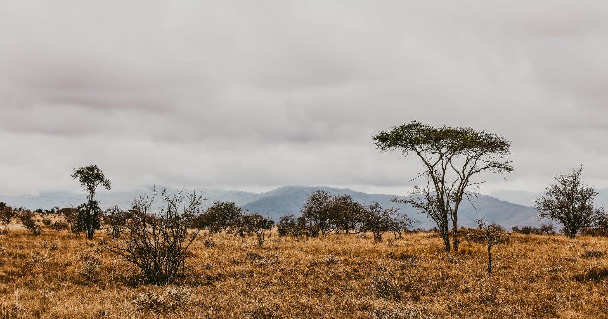 Is Jesus in the Old Testament?