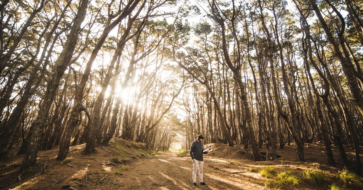 How is Jesus our mediator?