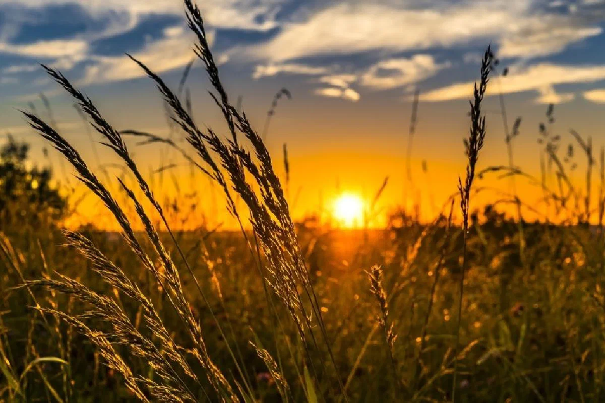 What does it mean that Jesus is our Sabbath rest?