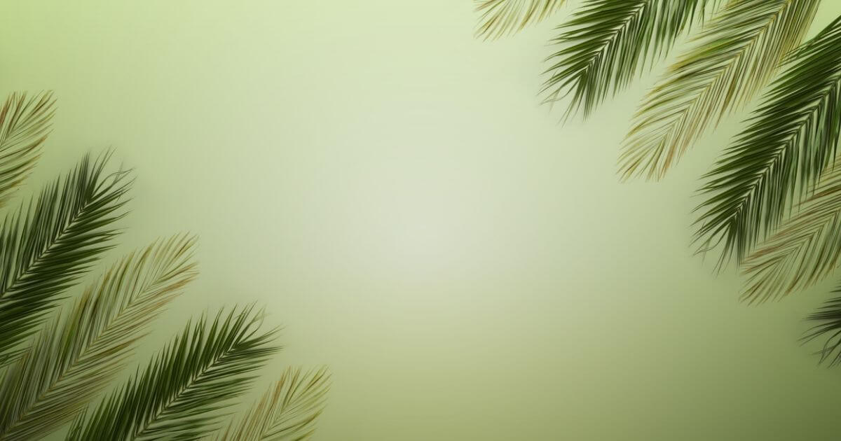 Was Jesus worshiped during His earthly ministry?