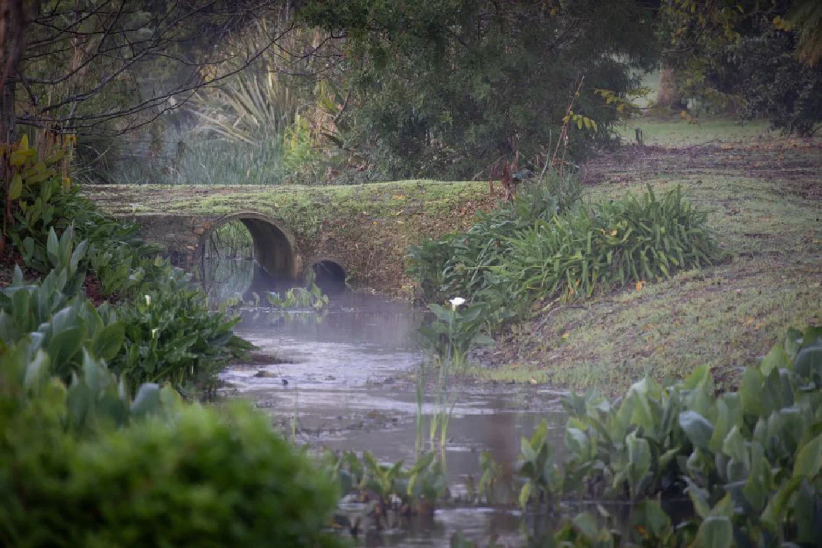 A tranquil misty stream flows under a small stone bridge surrounded by lush greenery, creating a peaceful scene.