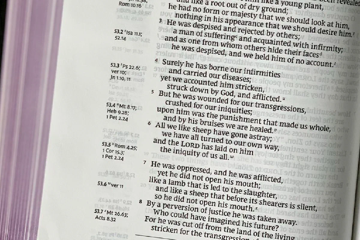 Does the Bible mention Muhammad? Does it prophesy his coming?