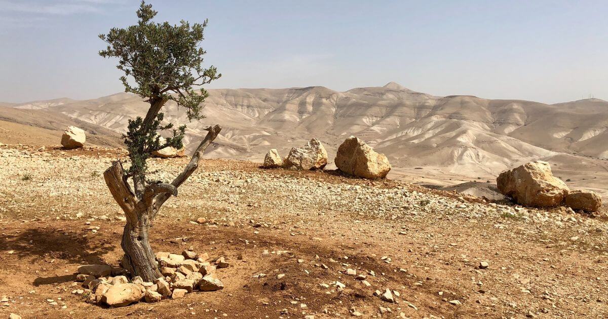 The Palestinian covenant – What is it?